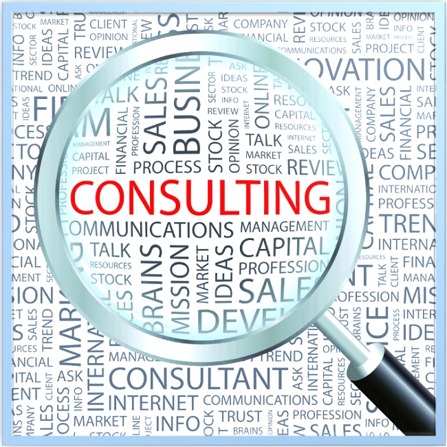 <h5>Consulting</h5>