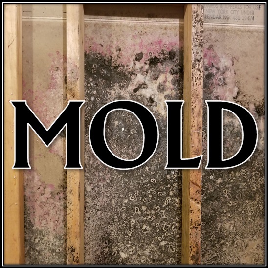 <h5>Manage Mold</h5>